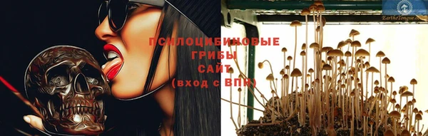 mix Абаза